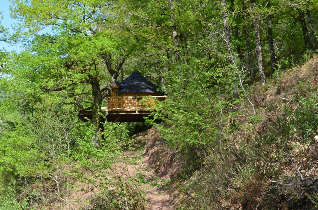 Ma Cabane En Aveyron Conques-en-Rouergue Екстер'єр фото